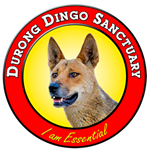 Durong Dingo Sanctuary Logo